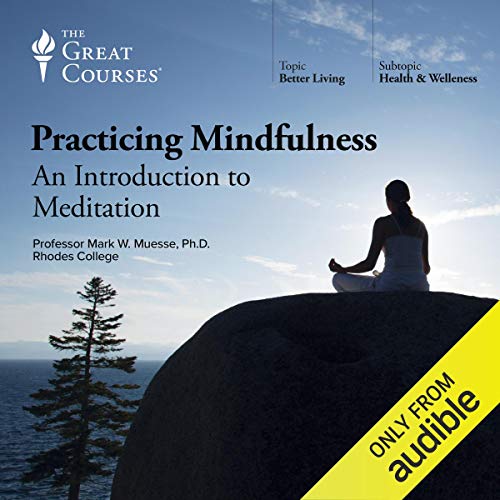 What Are Some Audiobooks For Developing Meditation Practices?