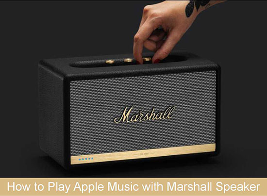 Can I Listen To Audiobook Downloads On A Marshall Speaker?