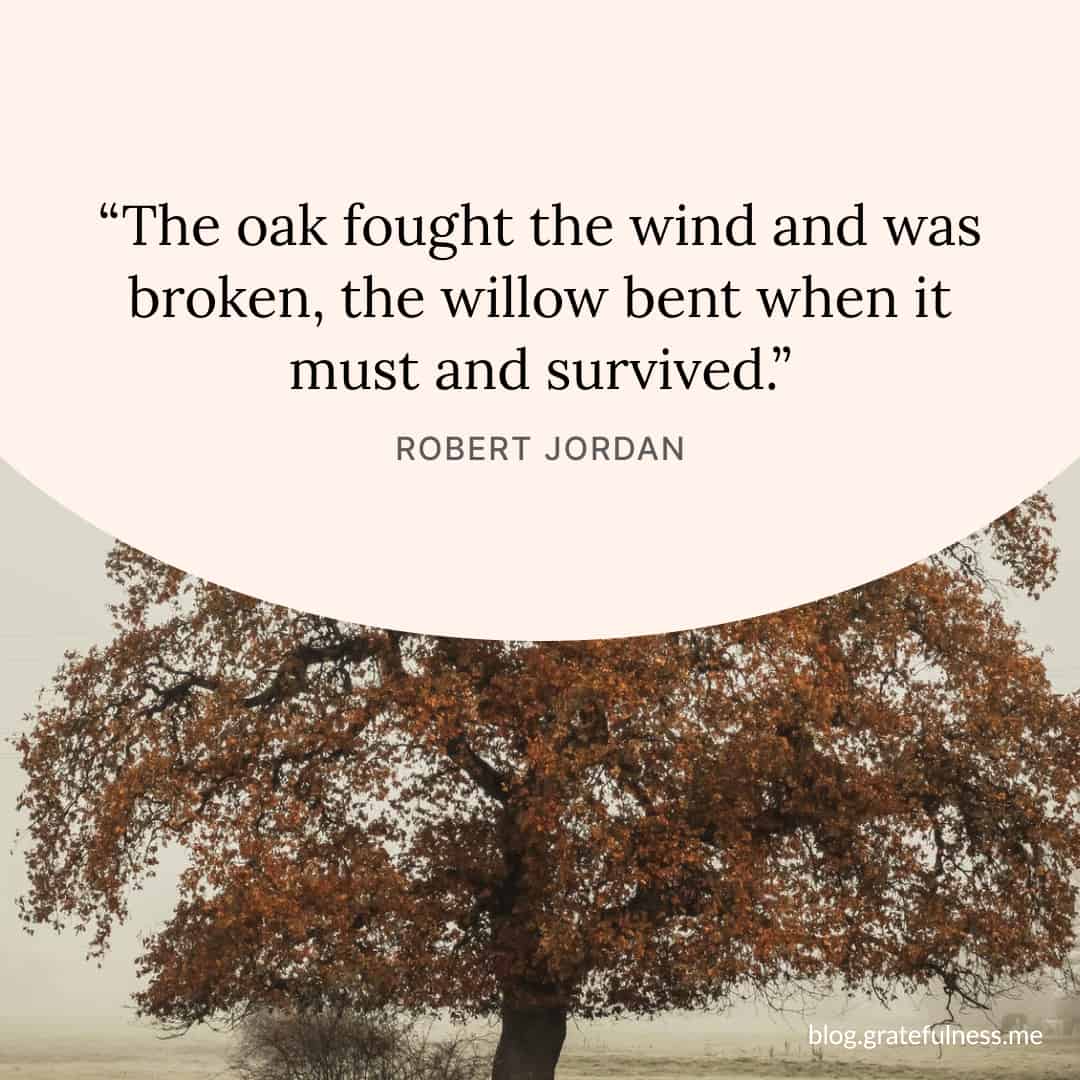 Quotes That Inspire Resilience: Audiobooks as a Source of Strength